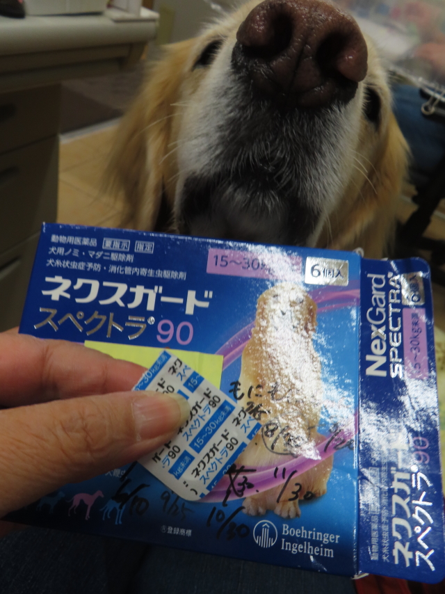 ファイル 8866-5.jpg