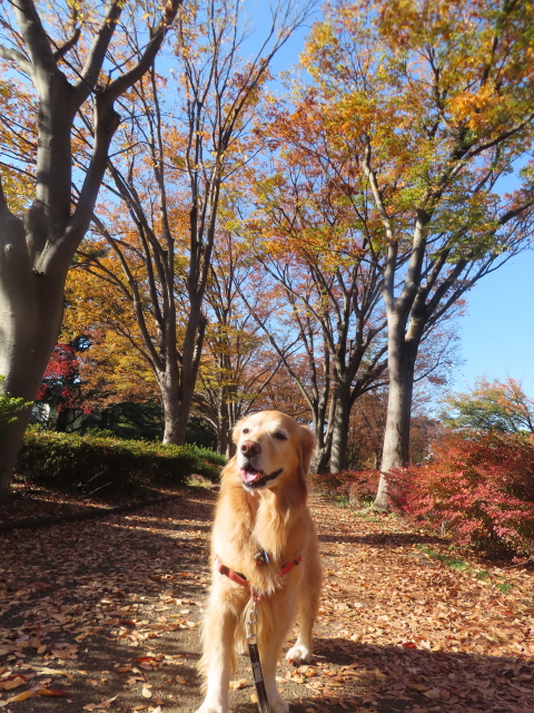 ファイル 8867-4.jpg