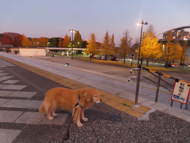 ファイル 8868-2.jpg