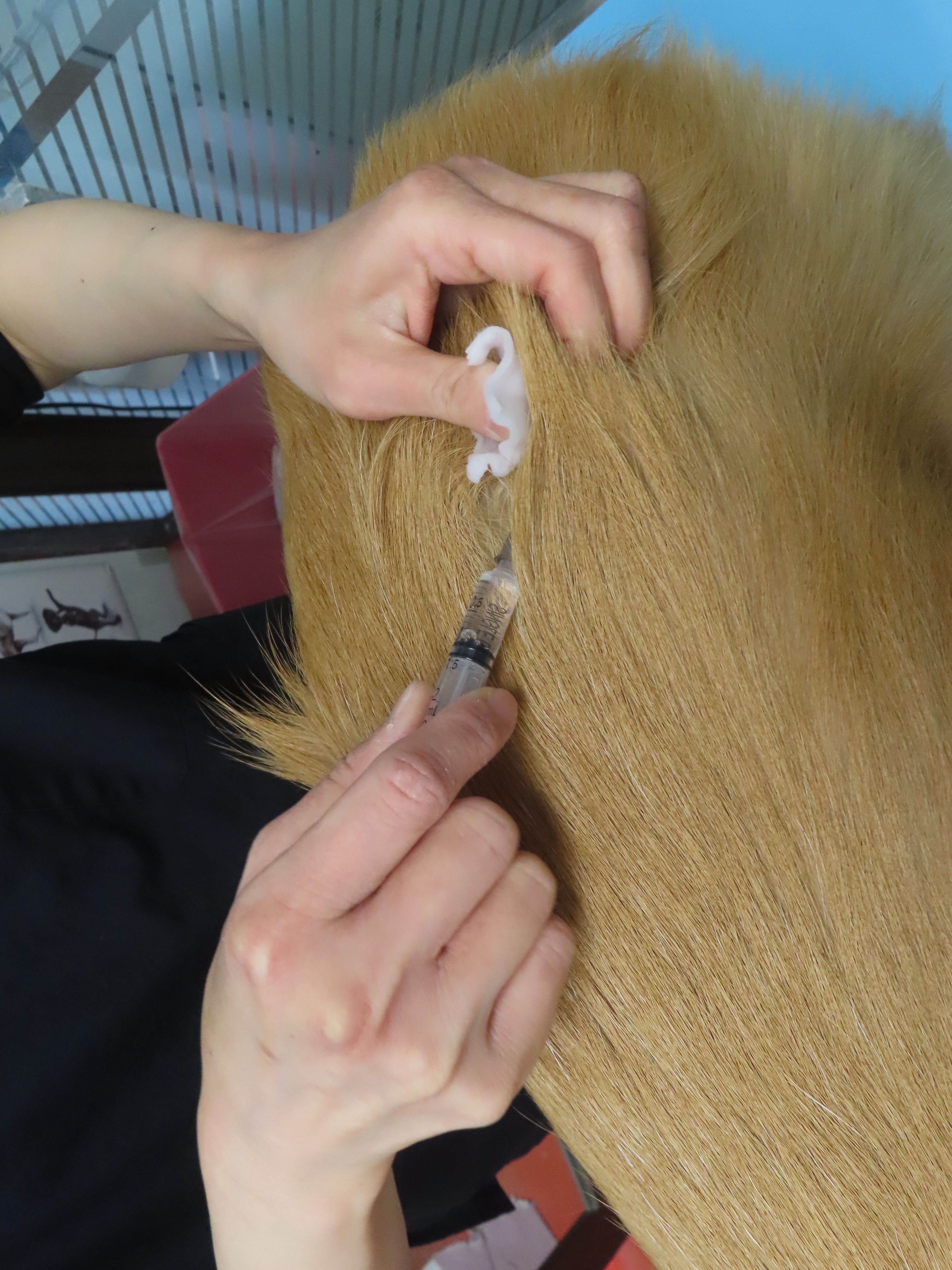 ファイル 8869-2.jpg