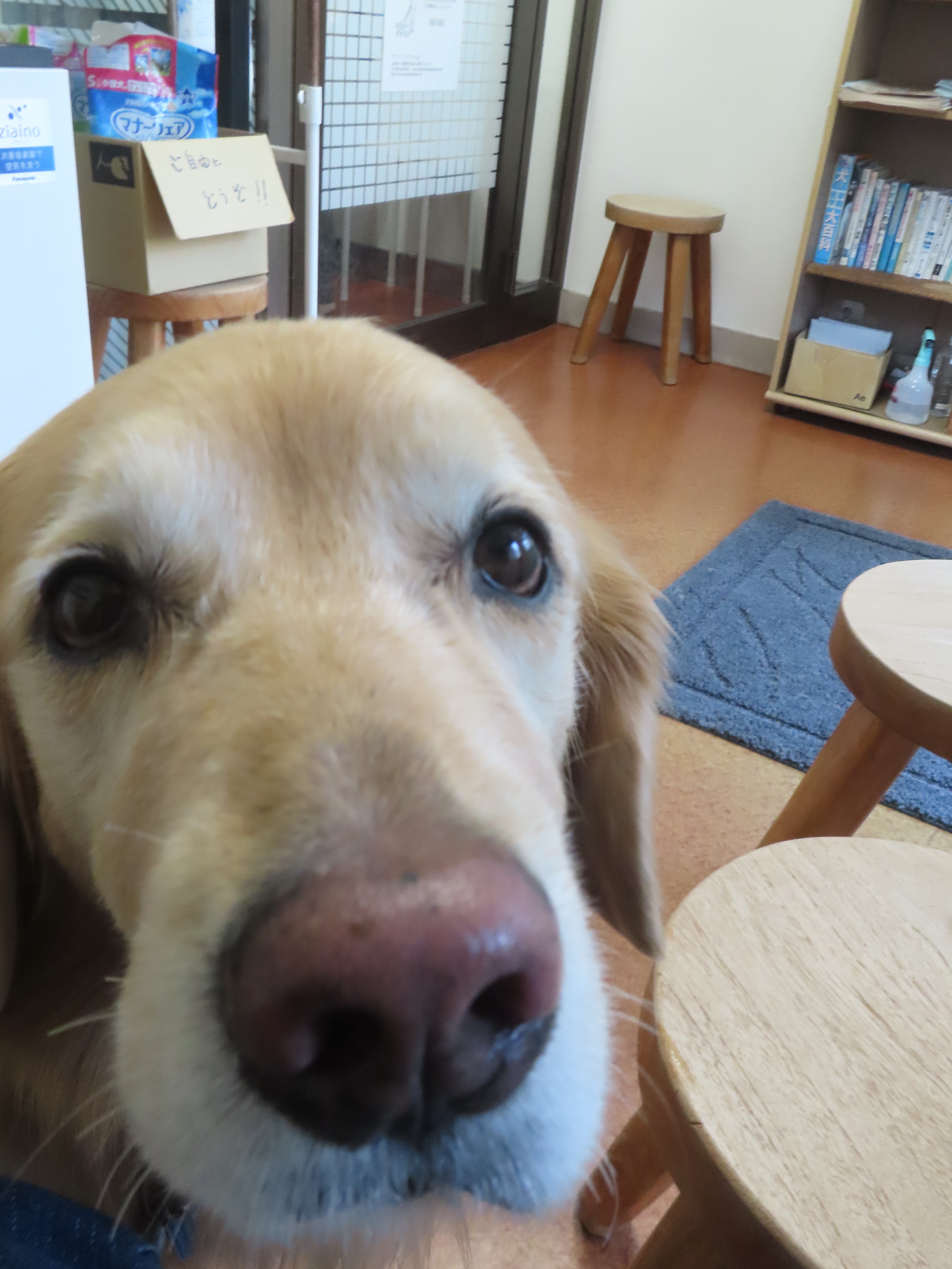 ファイル 8869-4.jpg