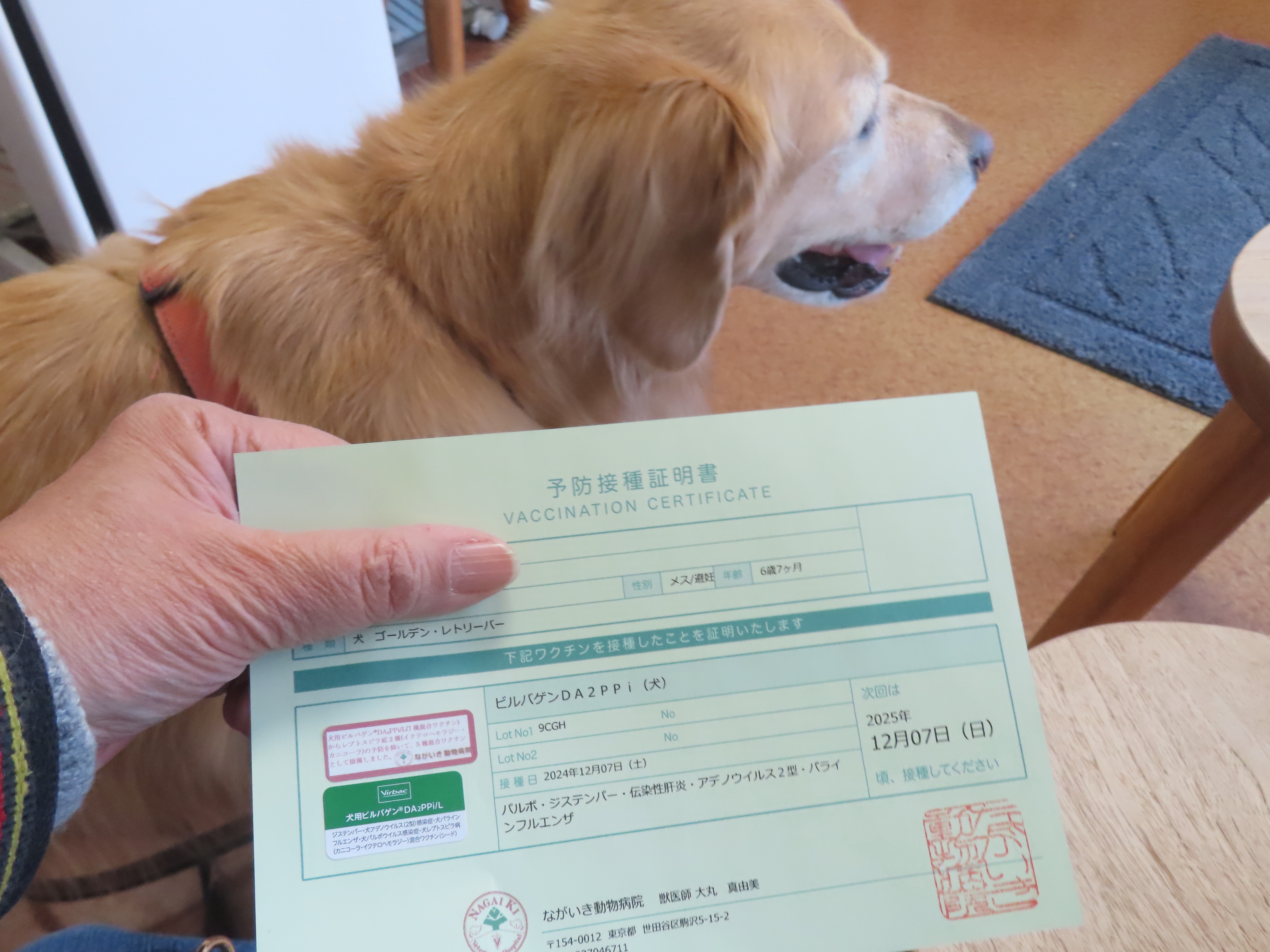 ファイル 8869-5.jpg