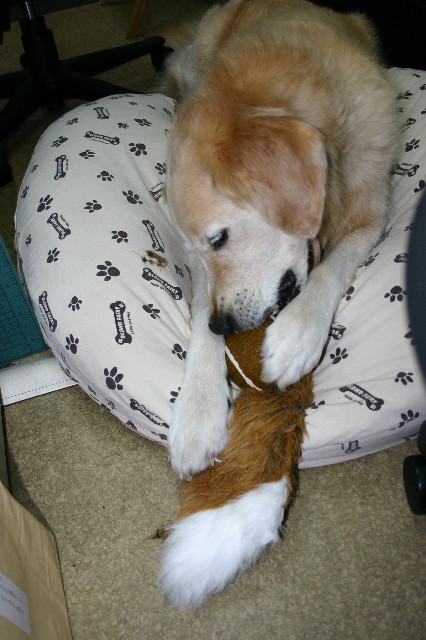 ファイル 887-1.jpg