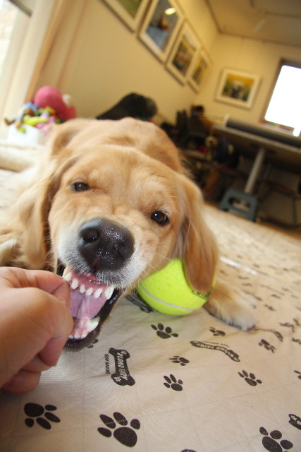 ファイル 887-4.jpg