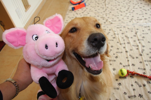 ファイル 887-5.jpg