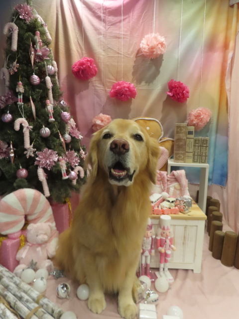 ファイル 8872-2.jpg