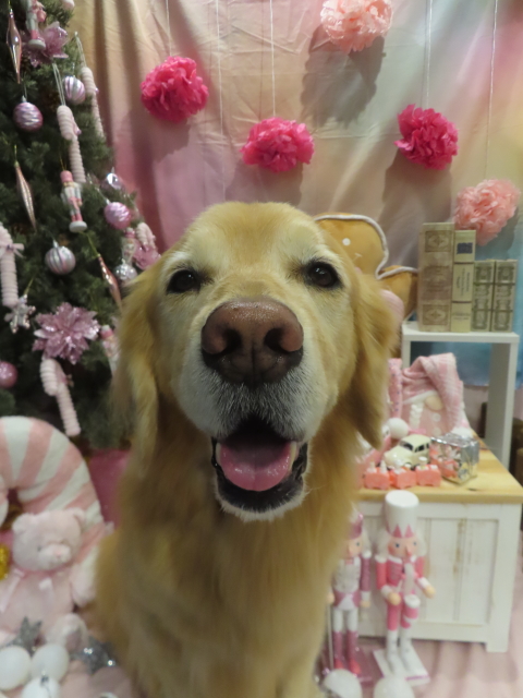 ファイル 8872-3.jpg