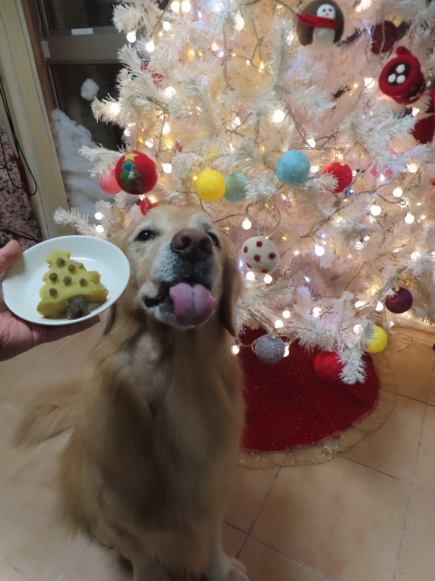 ファイル 8872-4.jpg