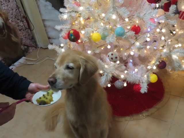 ファイル 8872-5.jpg