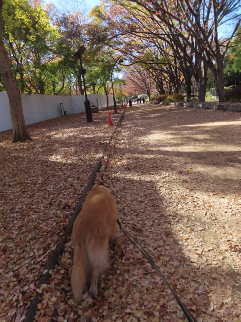 ファイル 8873-5.jpg