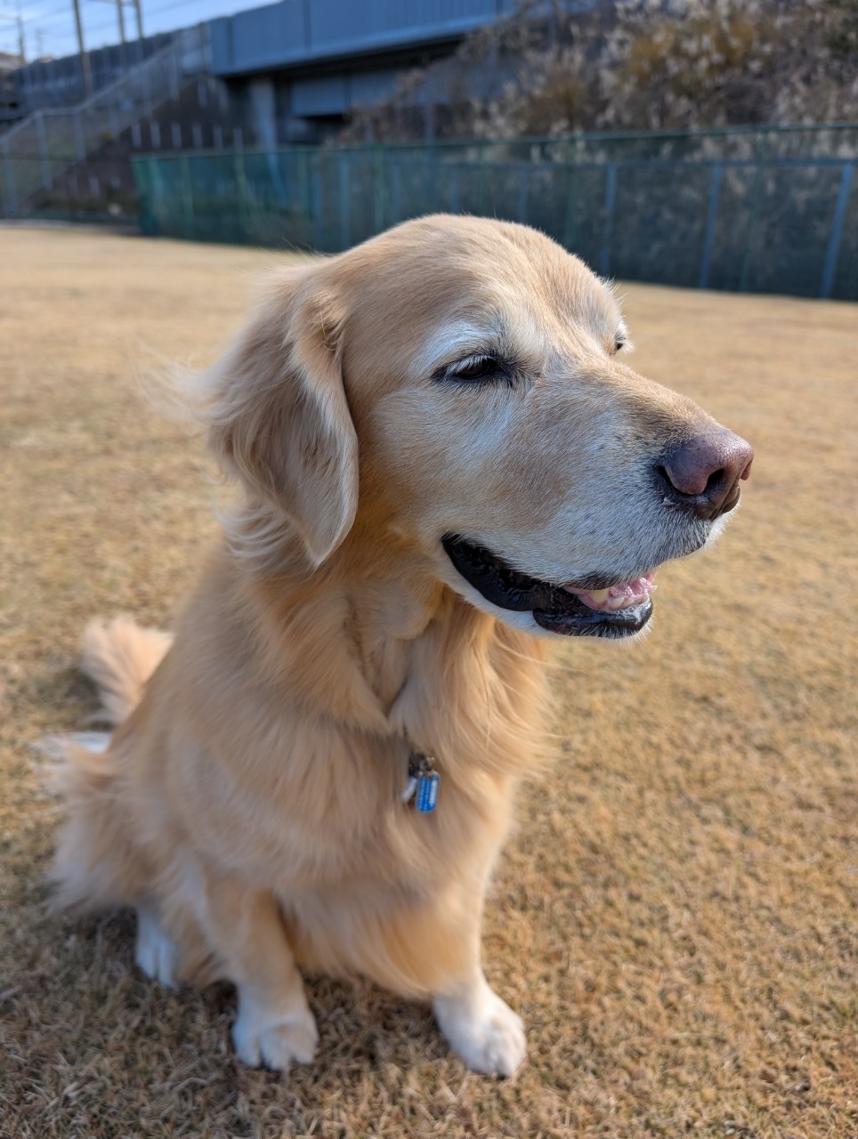 ファイル 8875-5.jpeg