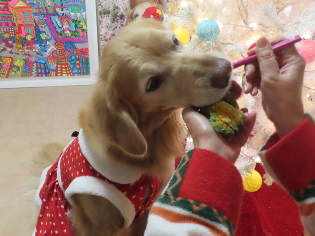 ファイル 8876-4.jpg