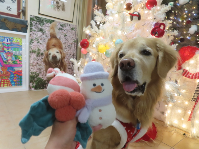 ファイル 8876-5.jpg