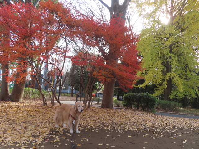 ファイル 8877-2.jpg