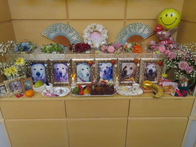 ファイル 8879-1.jpg