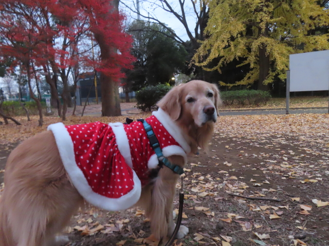 ファイル 8879-4.jpg