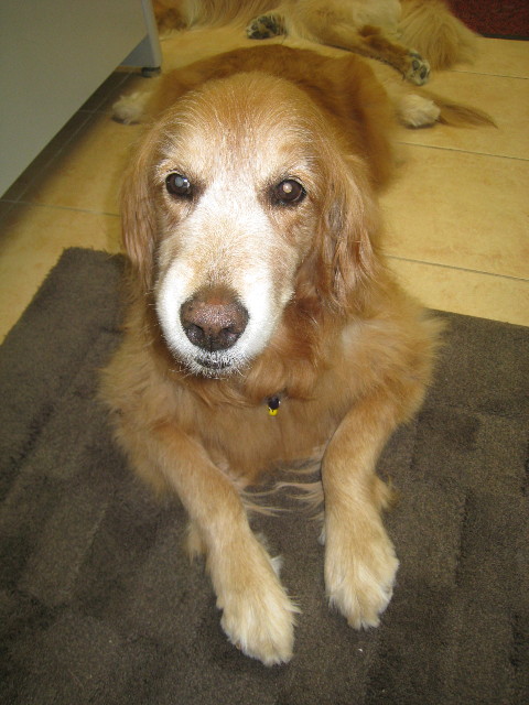 ファイル 888-1.jpg