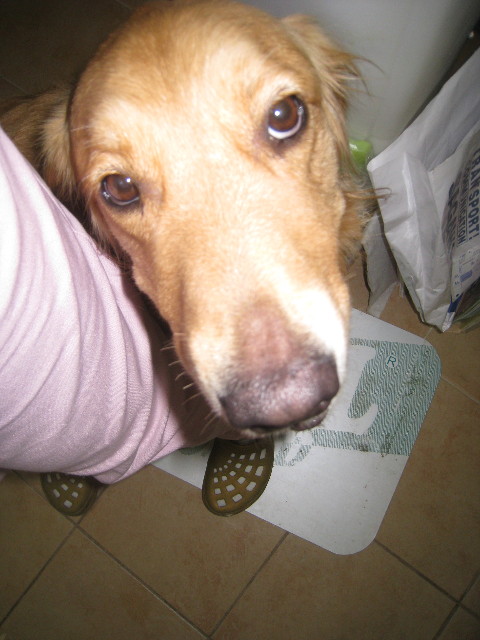 ファイル 888-2.jpg