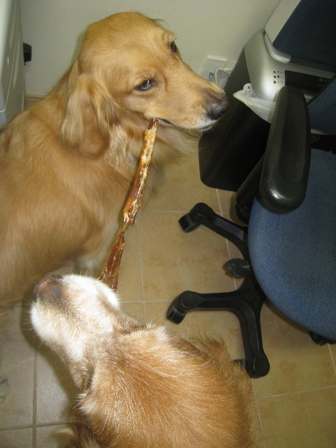 ファイル 888-3.jpg