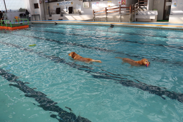 ファイル 8881-1.jpg