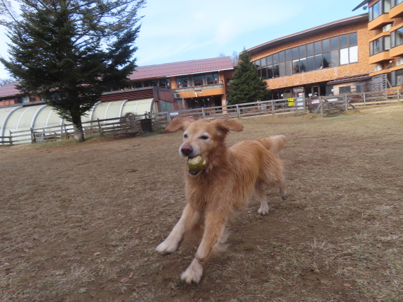 ファイル 8881-3.jpg