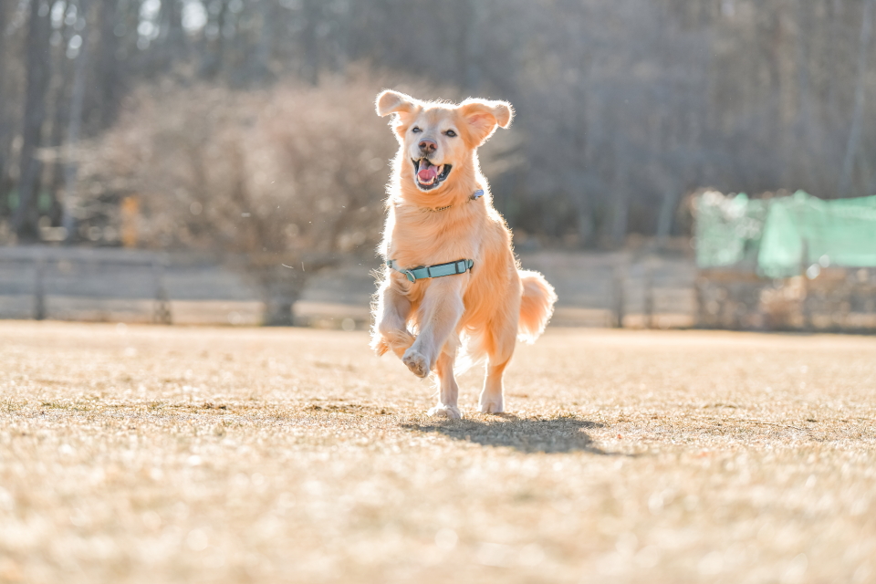 ファイル 8883-1.jpg