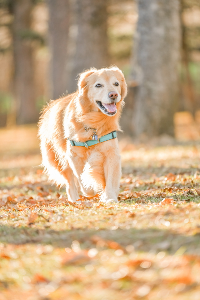 ファイル 8883-5.jpg