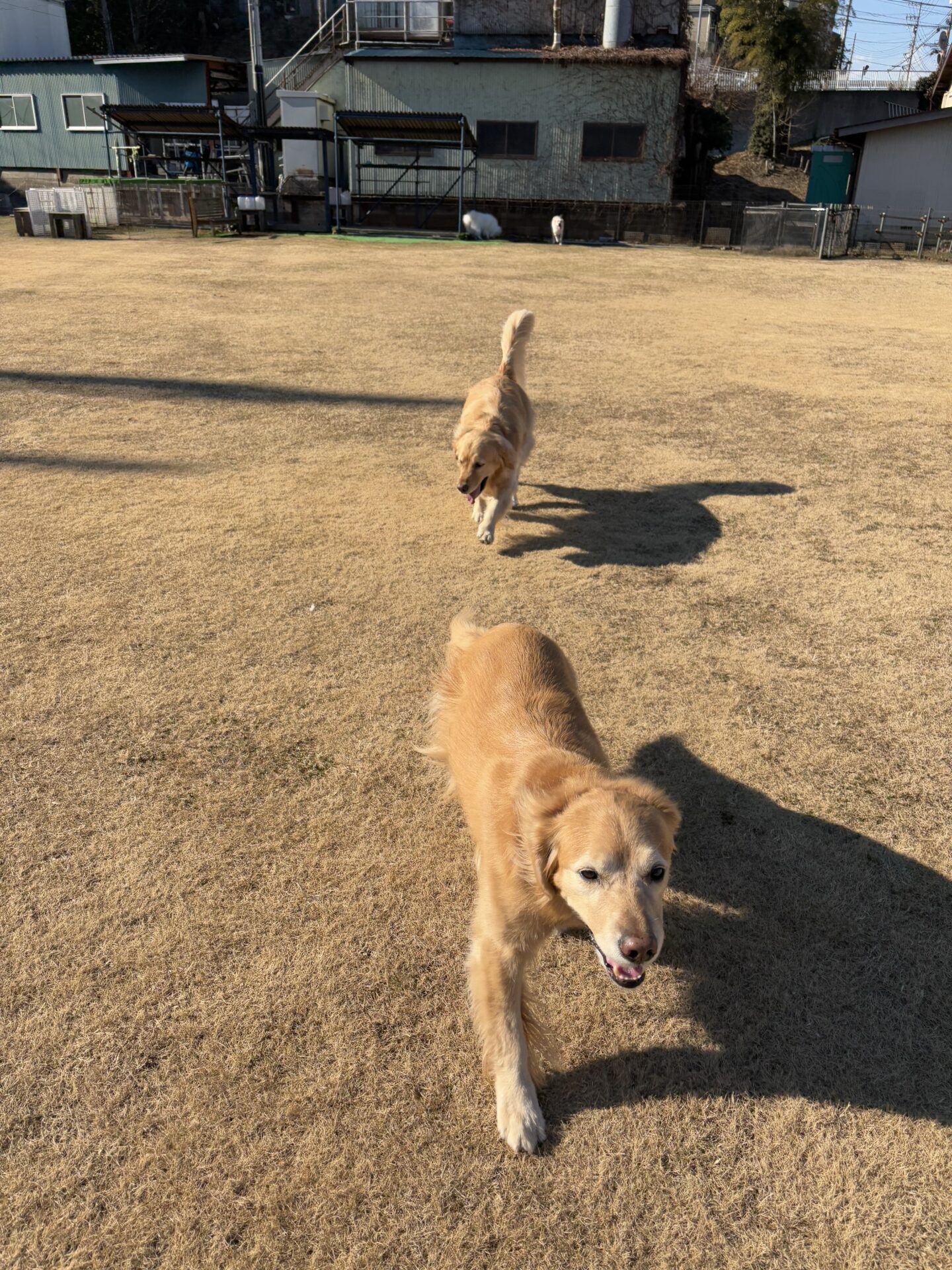 ファイル 8884-4.jpeg