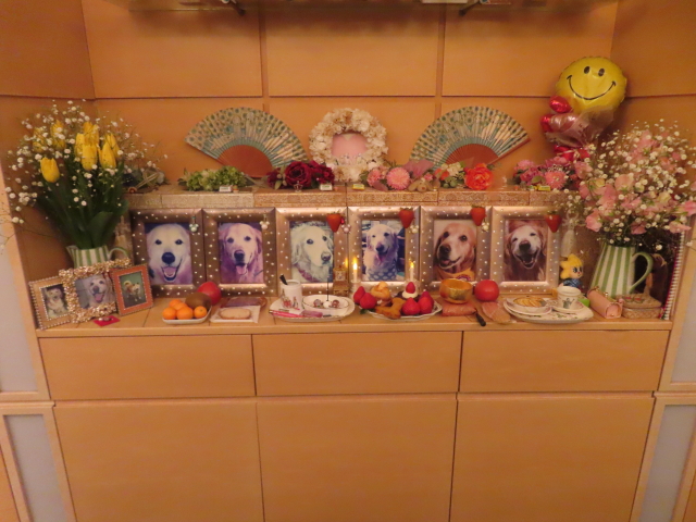 ファイル 8885-1.jpg