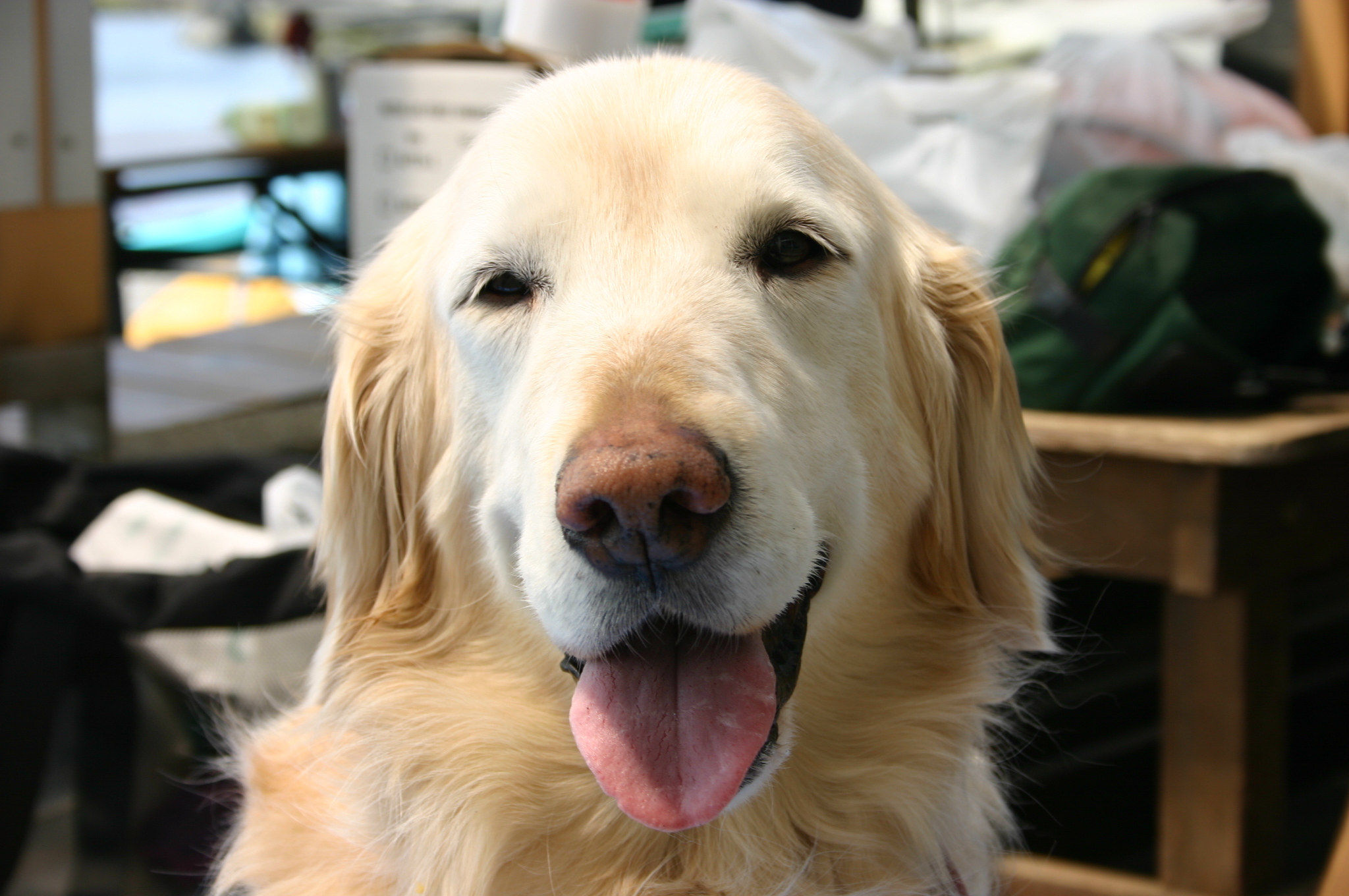 ファイル 8885-2.jpg