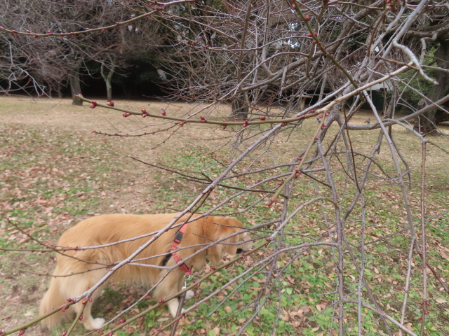 ファイル 8885-3.jpg