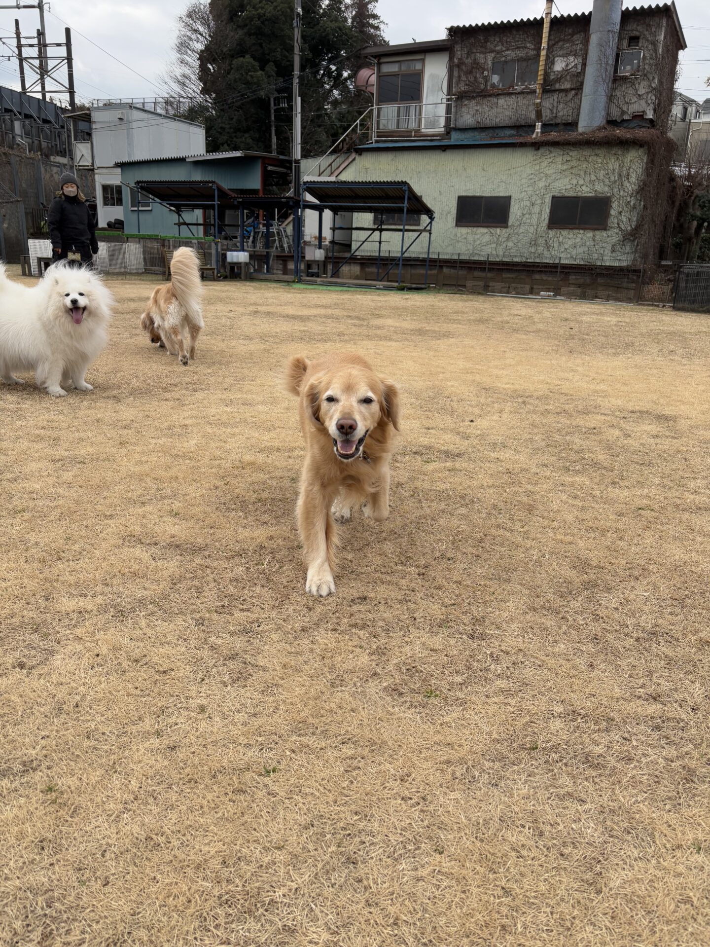 ファイル 8887-2.jpeg