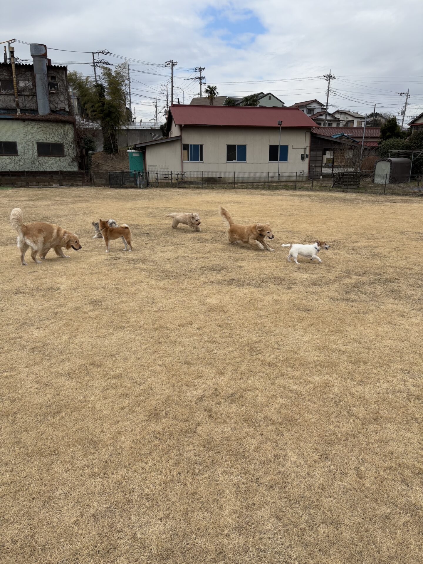 ファイル 8887-3.jpeg