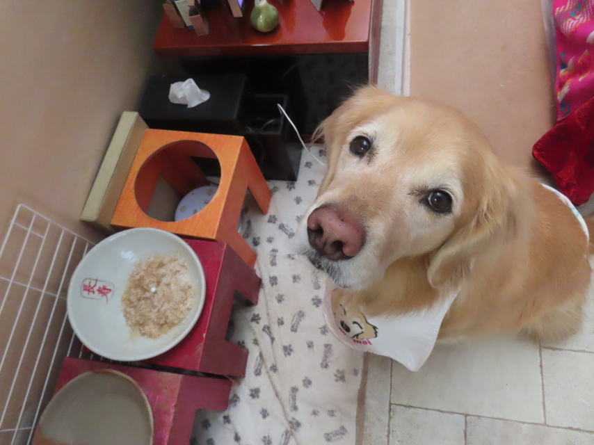 ファイル 8888-2.jpg