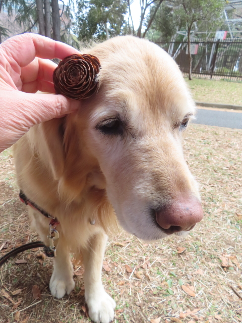 ファイル 8889-3.jpg