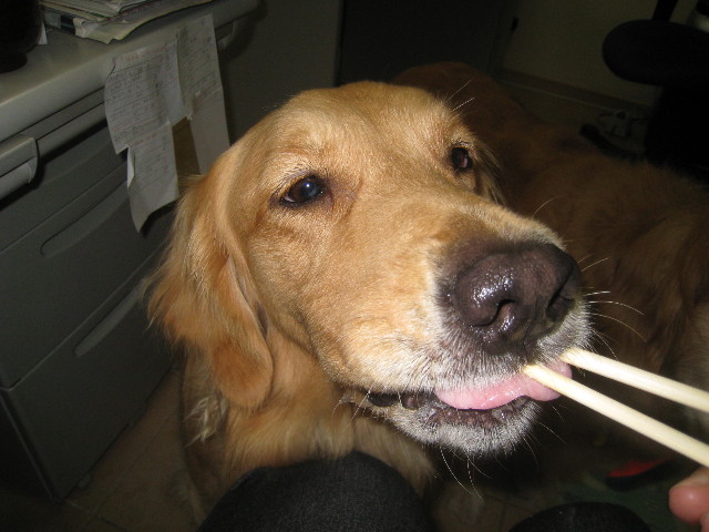 ファイル 889-3.jpg