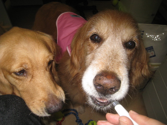 ファイル 889-4.jpg