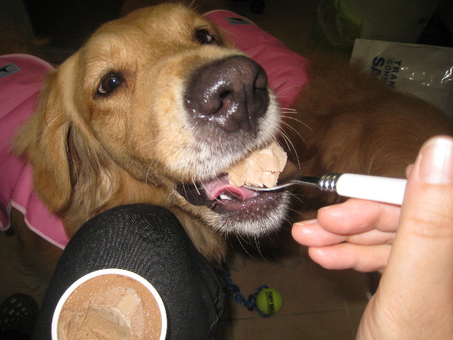 ファイル 889-5.jpg