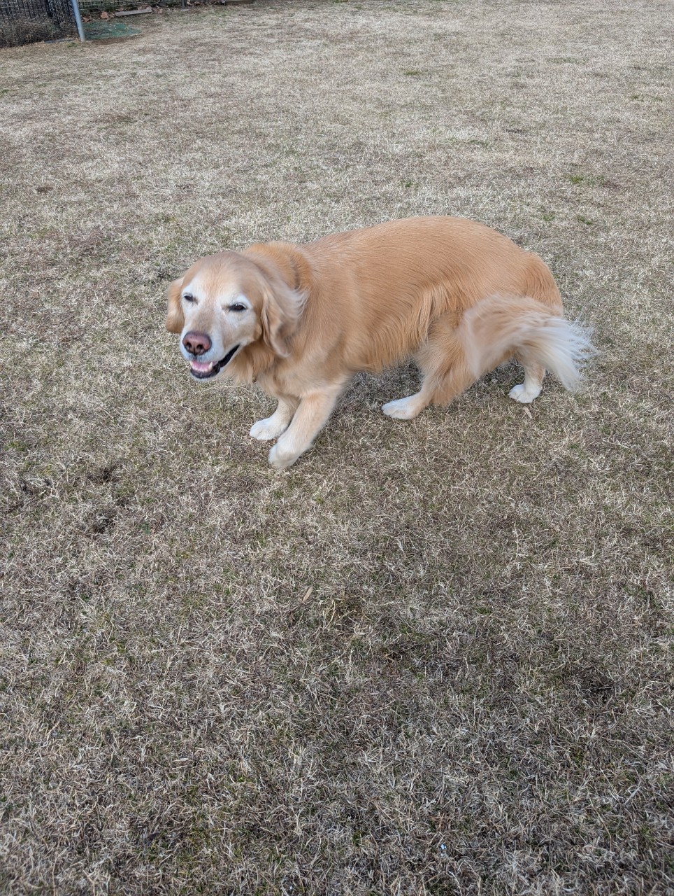 ファイル 8890-3.jpeg