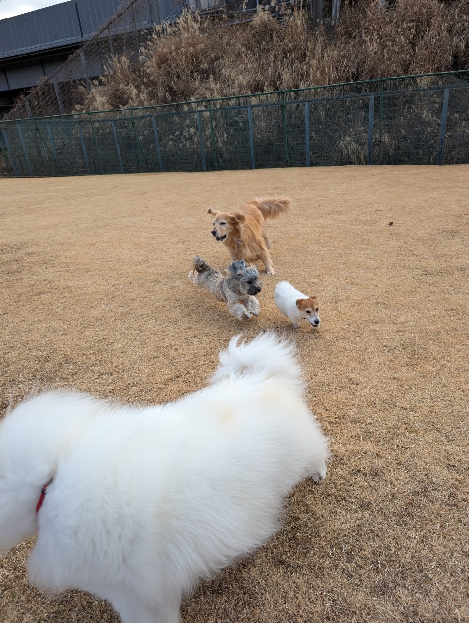 ファイル 8890-4.jpeg