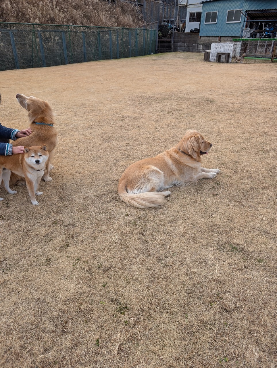 ファイル 8890-5.jpeg