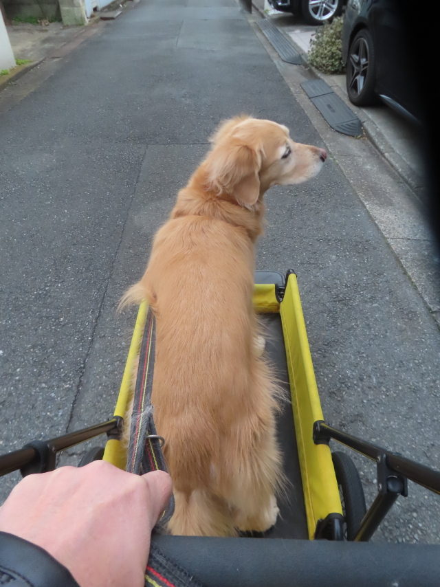 ファイル 8892-3.jpg