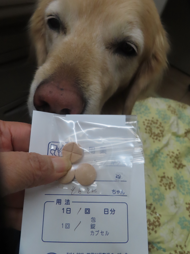 ファイル 8892-5.jpg