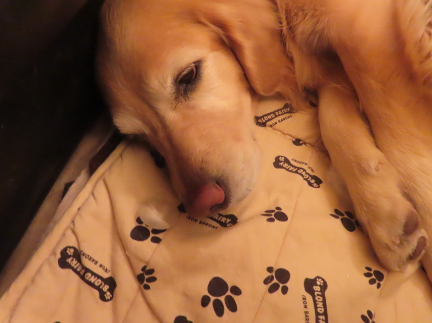 ファイル 8893-5.jpg