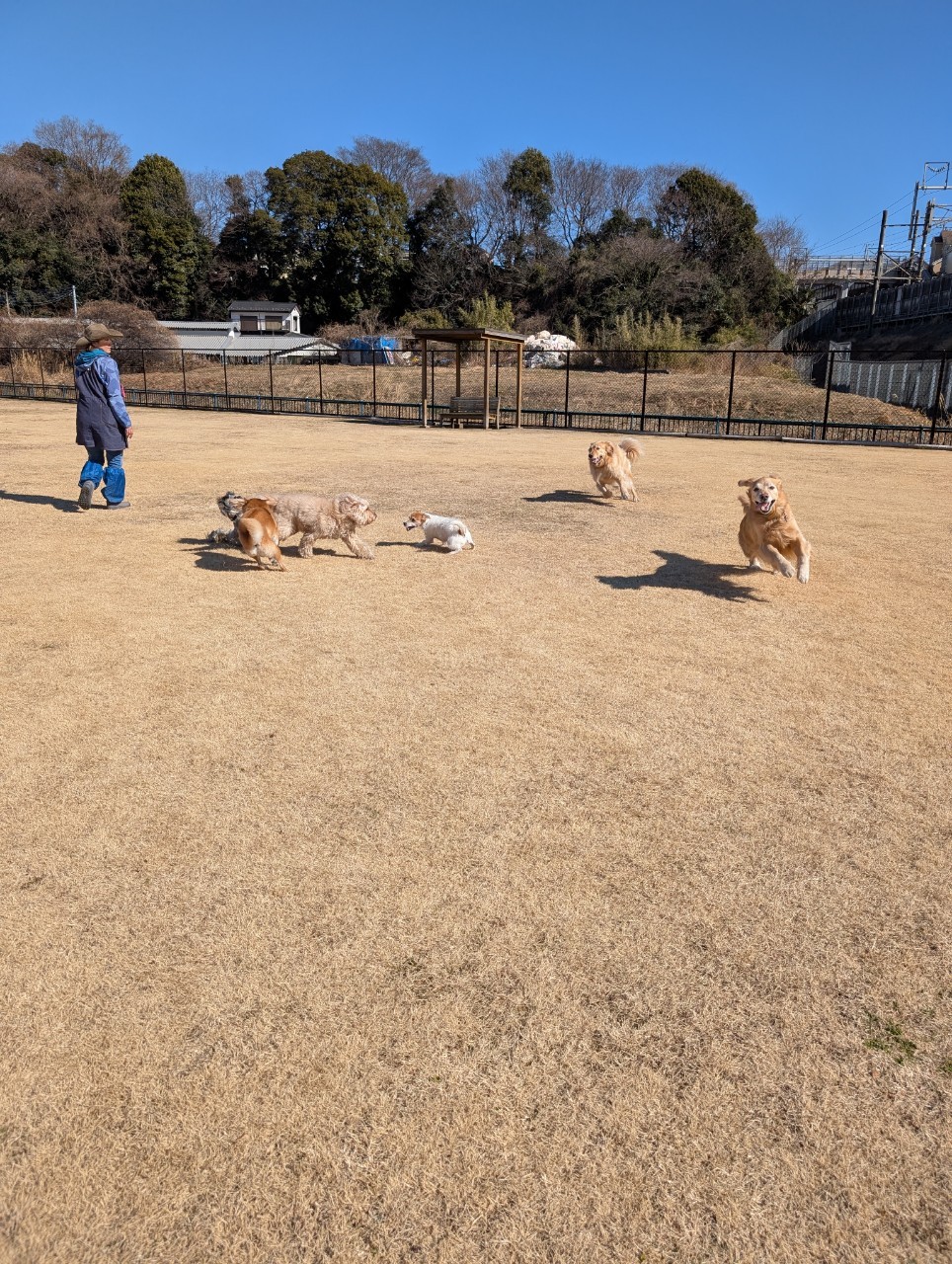 ファイル 8894-2.jpeg