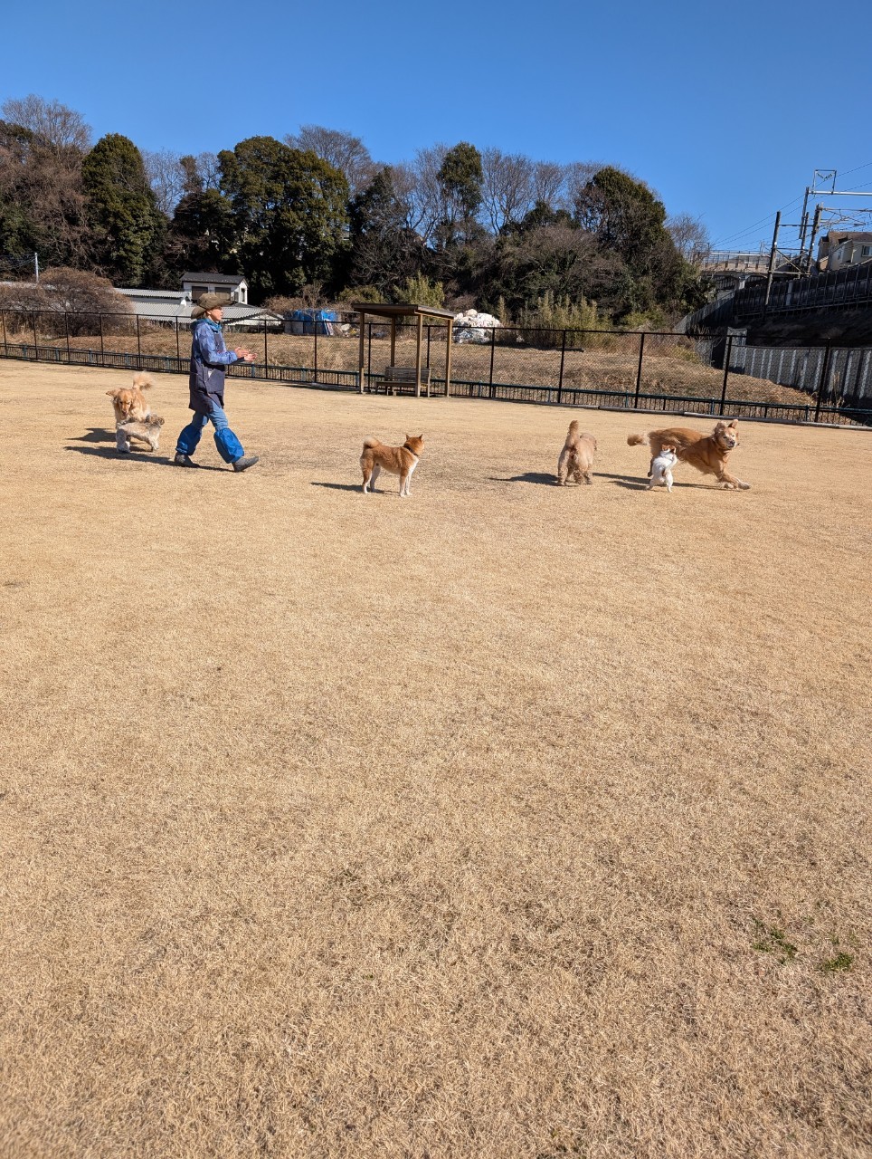 ファイル 8894-4.jpeg