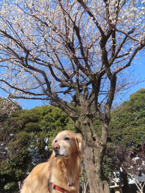 ファイル 8895-3.jpg