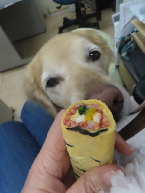 ファイル 8896-4.jpg