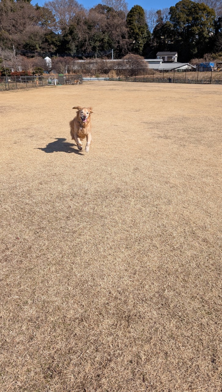 ファイル 8897-1.jpeg