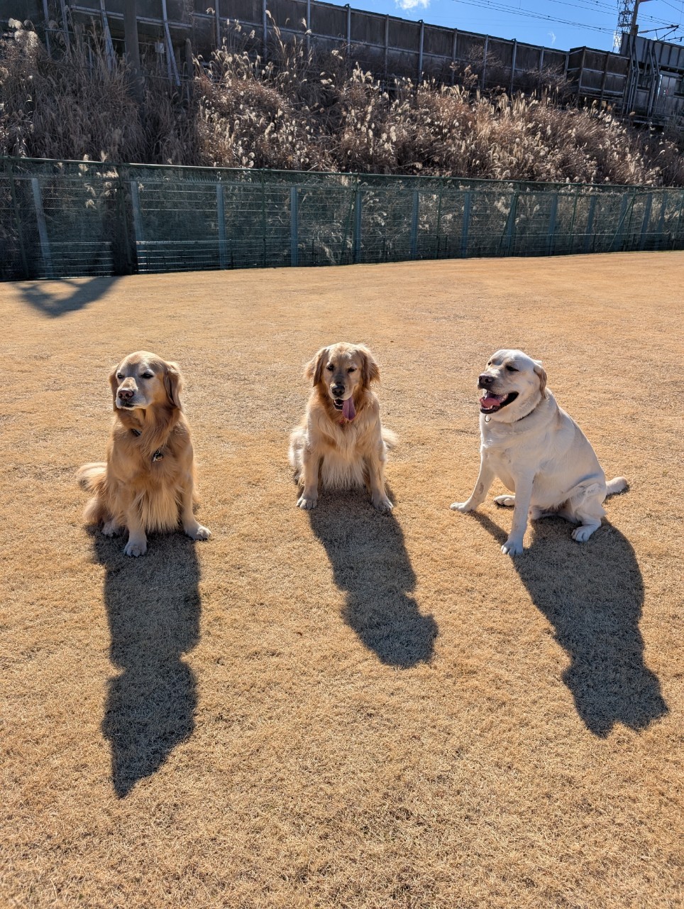 ファイル 8897-5.jpeg